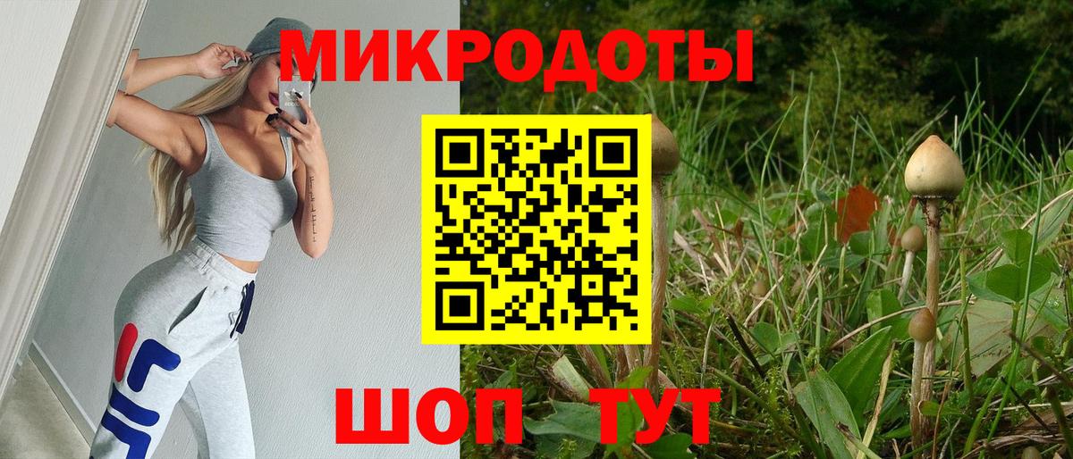 Галлюциногенные грибы Psilocybe Сунжа